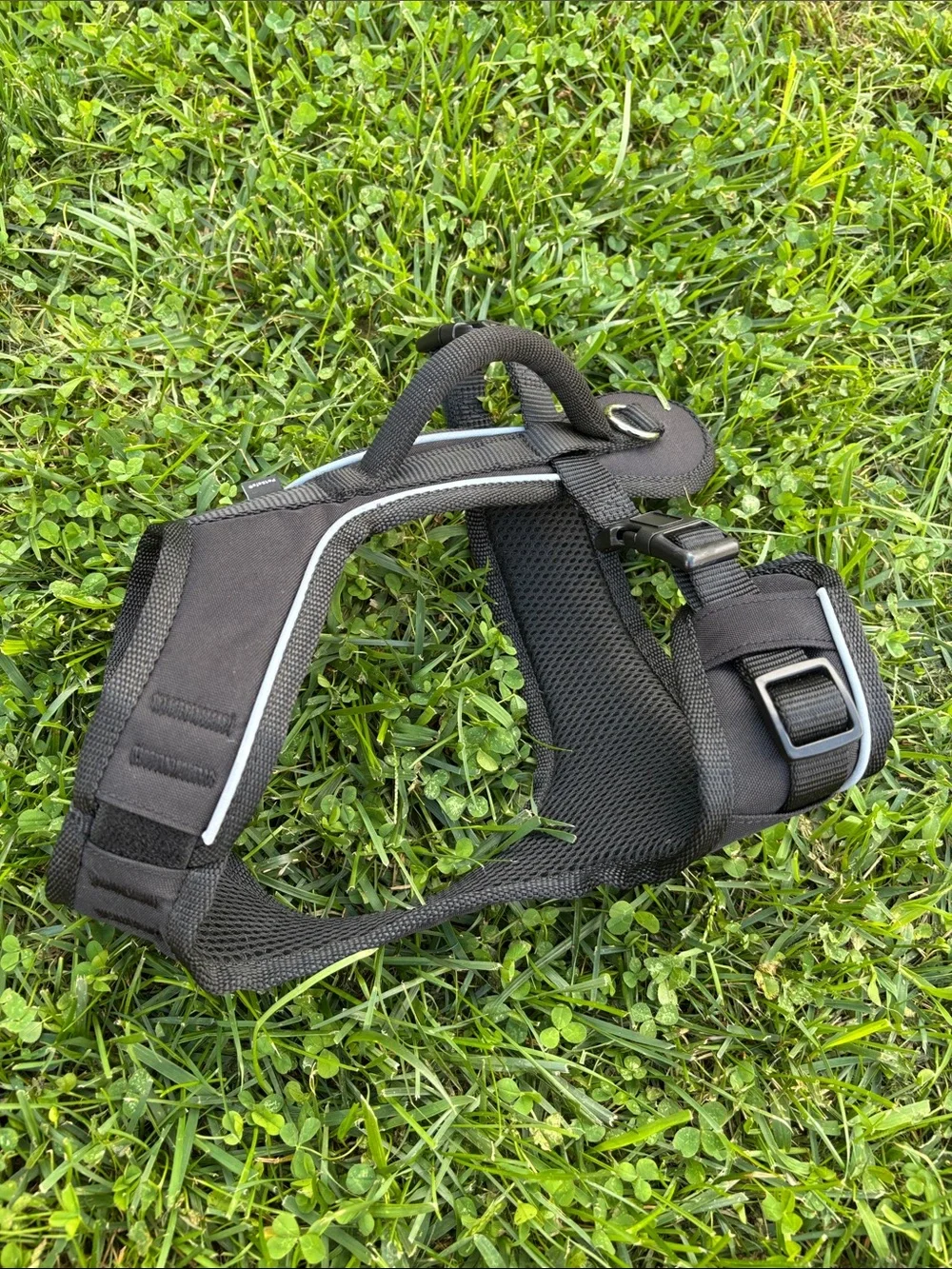 Easy Sport Dog Harness